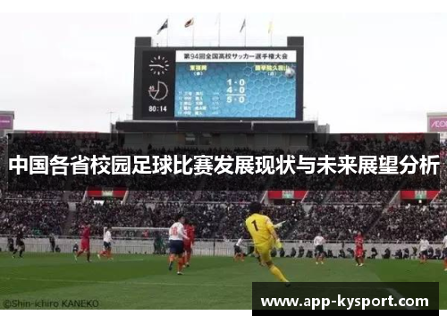 中国各省校园足球比赛发展现状与未来展望分析